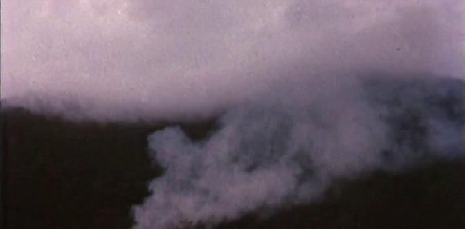 Смотреть Белая птица с черной отметиной бесплатно