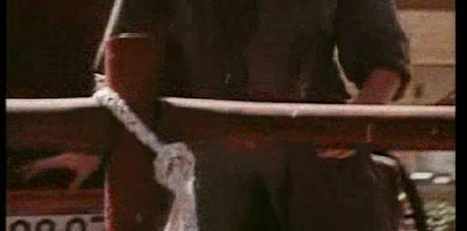 Смотреть Без ошейника бесплатно