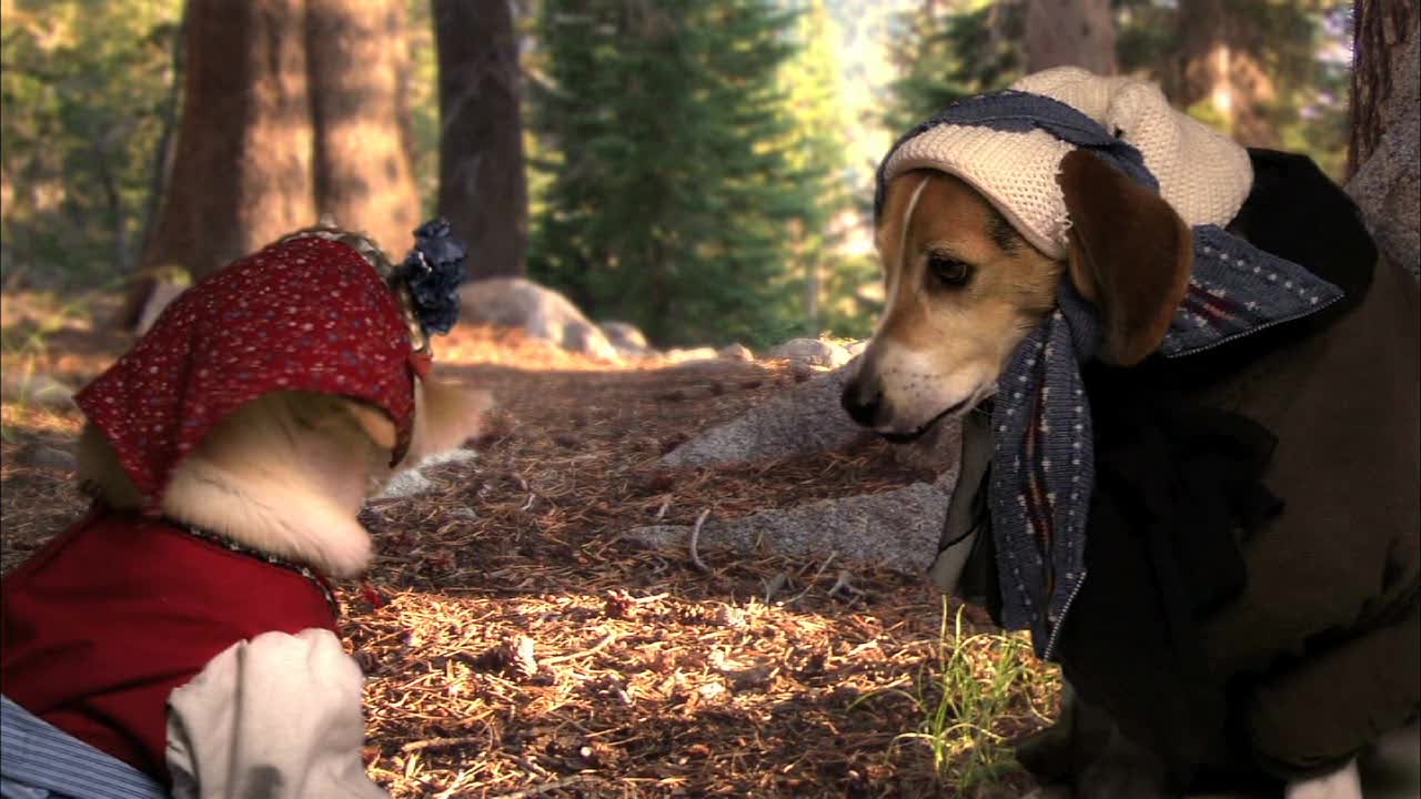 Смотреть Хэйди. Путешествие в Альпы бесплатно