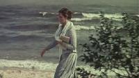 Мальва
