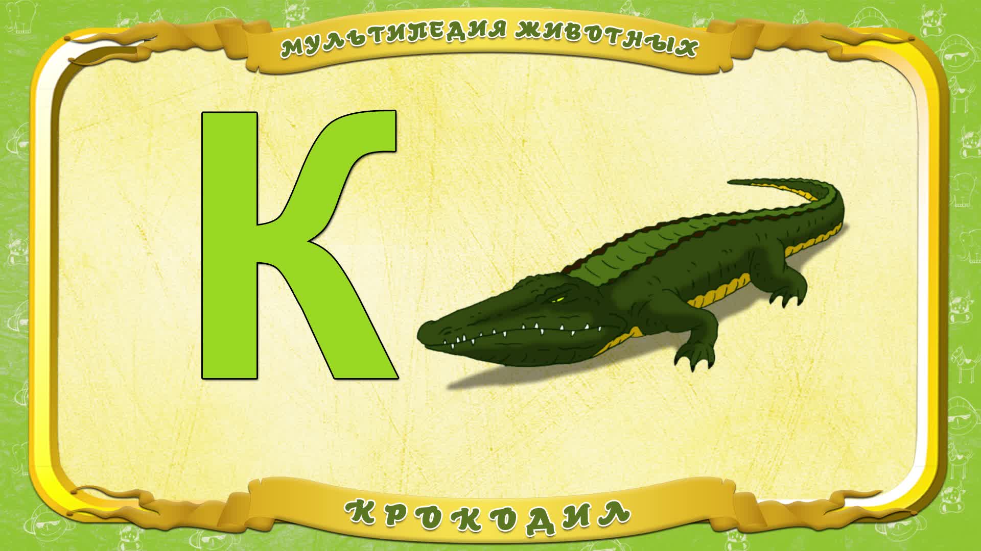 Das krokodil. Буква к крокодил. К крокодил Азбука. Животное на букву а. Алфавит к крокодил.