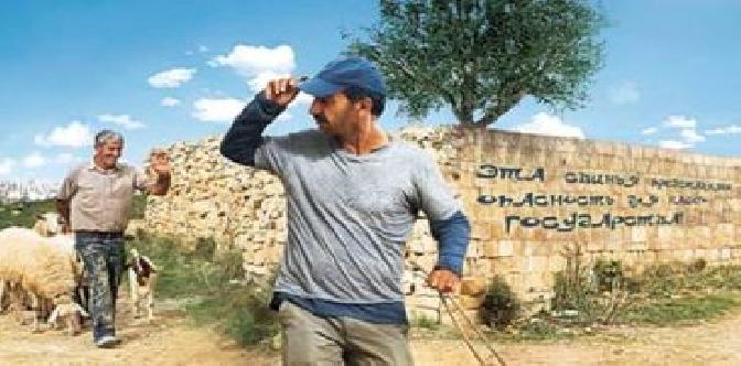 Смотреть Перелетные свиньи бесплатно