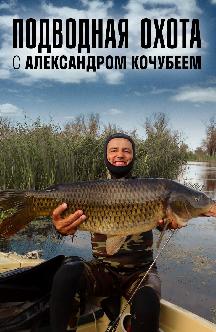 Смотреть Подводная охота с Александром Кочубеем бесплатно