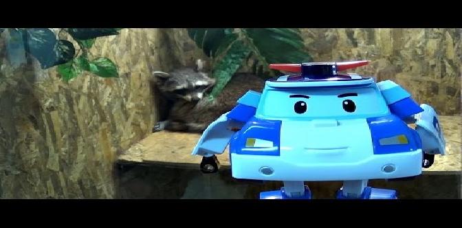 Смотреть Робокары Поли и Рой в Зоопарке -   로보카 폴리  ロボカーポリー Ro bo ka Polli бесплатно