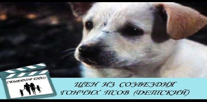 Смотреть Щен из созвездия Гончих Псов бесплатно
