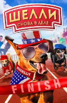 Смотреть Шелли снова в деле бесплатно