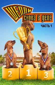 Смотреть Шелли снова в деле. Часть 1 бесплатно