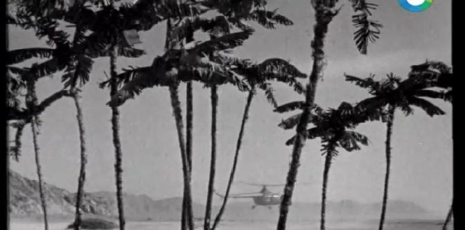 Смотреть Товарищ песня бесплатно