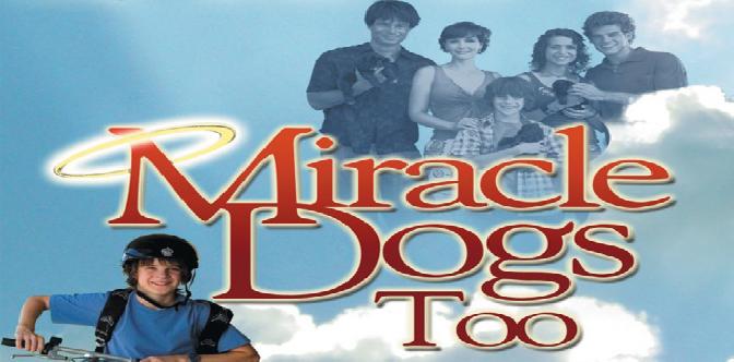 Смотреть Зак и чудо-собаки бесплатно